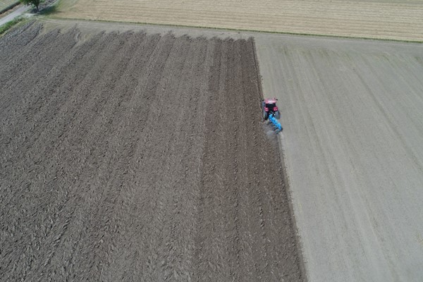 DJI 0030